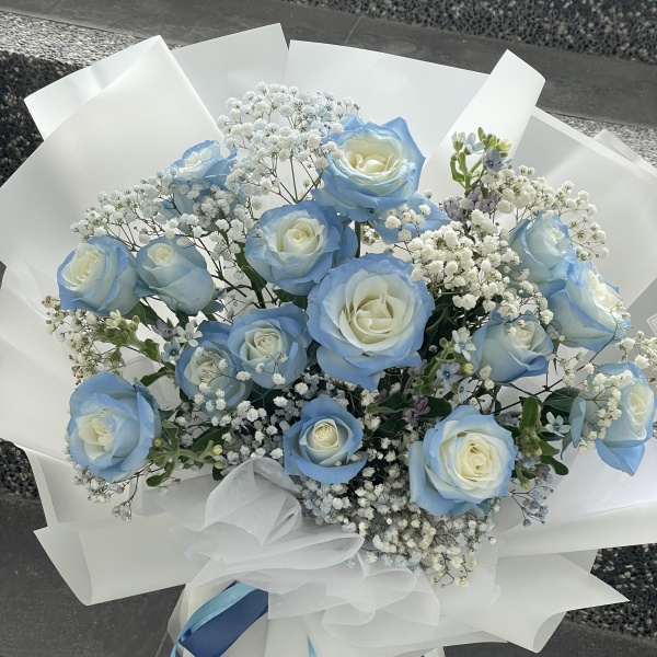 img-4493_1806003820