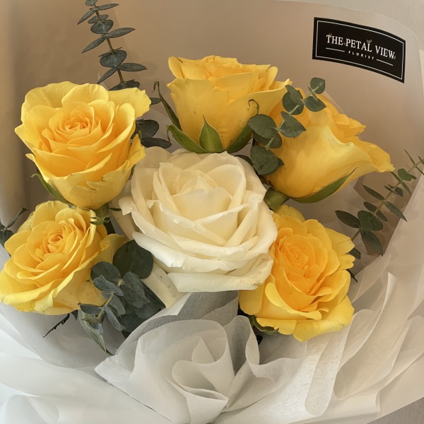 rose_model_9_2